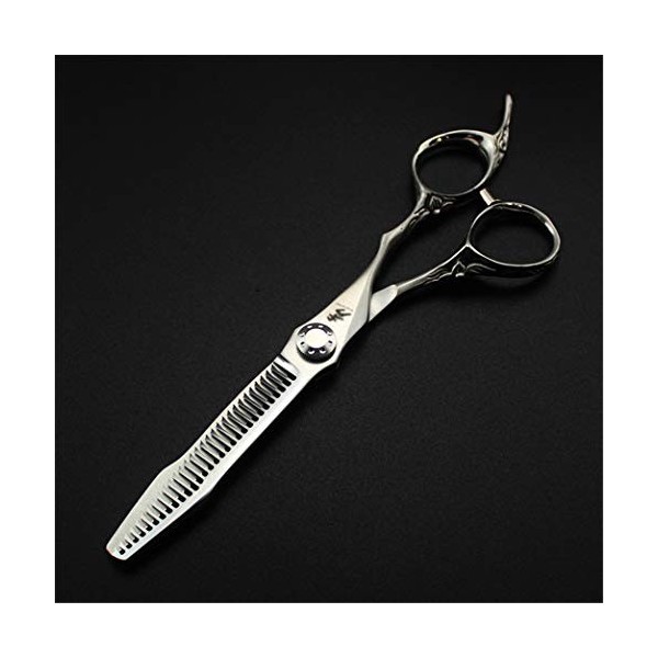 6.0 Pouces Argent Professionnel Salon de Coiffure Ciseaux de Coupe de Cheveux - Coiffure Dilution Cisailles Haut de Gamme Sal