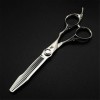 6.0 Pouces Argent Professionnel Salon de Coiffure Ciseaux de Coupe de Cheveux - Coiffure Dilution Cisailles Haut de Gamme Sal