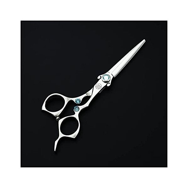 Ensemble de ciseaux à cheveux de type série Sword, ciseaux de salon de coiffure pour coiffeurs couleur: amincissant sans sac