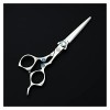 Ensemble de ciseaux à cheveux de type série Sword, ciseaux de salon de coiffure pour coiffeurs couleur: amincissant sans sac