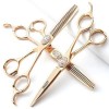 Ensemble de coiffure professionnel de 15,2 cm avec lames tranchantes qui sont faciles à couper, convient pour les coiffeurs, 