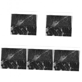 FRCOLOR 5 Pièces Pince À Épiler Présentoir Porte-Cils Extensions De Cils Pince À Épiler Pince À Cils Pince À Épiler Pratique 