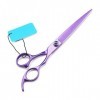 GUANGGUANG Ylingling Store Professional JP 440c Steel 8 Violet Pet Dog Tooming Classeurs Coupes Barber Tools Barcues Cisca