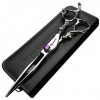 HAOTING Ensemble de Ciseaux de Coiffure Ciseaux de Coiffeur Professionnels pour Les Ciseaux doutils de Coiffeur de Style de 