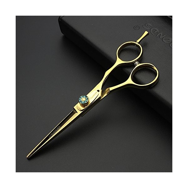 Ensemble de ciseaux 5,5 "ciseaux de cheveux dorés japon ciseaux de coiffure fournitures de salon de coiffure coiffeur kit de 
