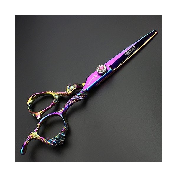 Ciseaux de coupe de cheveux en acier inoxydable japonais 6 pouces ciseaux de coiffeur populaires salon de coiffure outils de 