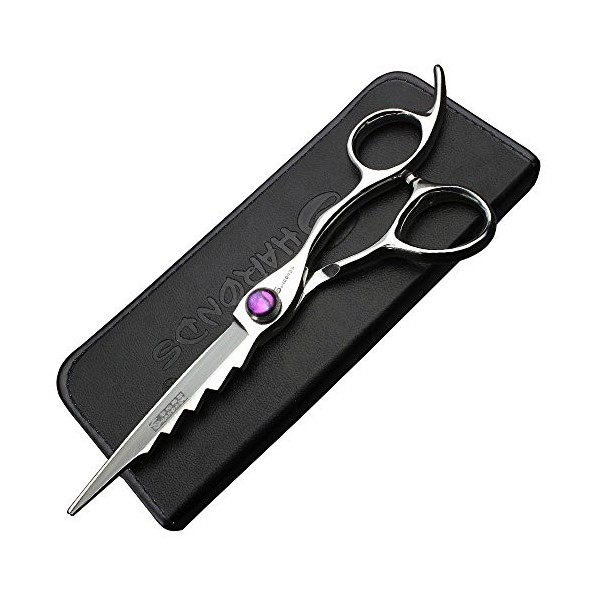 HAOTING Ciseaux de Coupe de Cheveux en Acier Inoxydable 6/6,5 Pouces Ciseaux de Coiffure Haut de Gamme Salon de Coiffure Cise