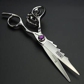 HAOTING Ciseaux de Coupe de Cheveux en Acier Inoxydable 6/6,5 Pouces Ciseaux de Coiffure Haut de Gamme Salon de Coiffure Cise