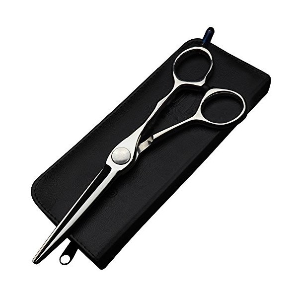 HAOTING Ensemble de Ciseaux de Coiffure Rectangle vis 6 Pouces Ciseaux personnalité Coiffeur Ciseaux de Coiffure en Acier Ino