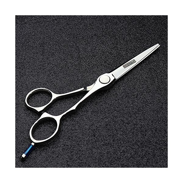 HAOTING Ensemble de Ciseaux de Coiffure Rectangle vis 6 Pouces Ciseaux personnalité Coiffeur Ciseaux de Coiffure en Acier Ino