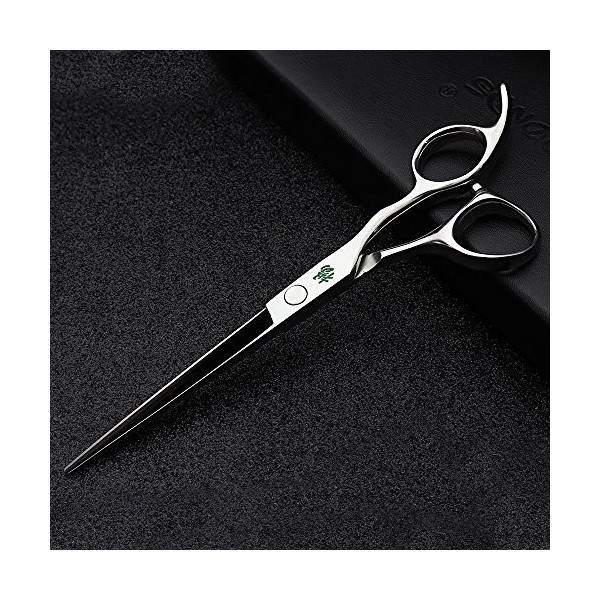 HAOTING Ciseaux Amincissants pour Cheveux Coupe de Cheveux Ciseaux de Coiffure personnalisés Ciseaux de Coiffure en Acier 440