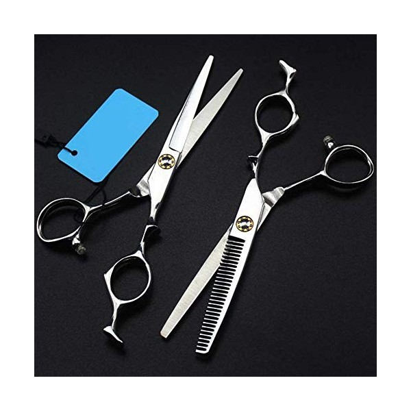 Set Ciseaux Coiffeur Professionnels et Ciseaux à effiler 6"