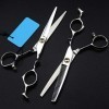 Set Ciseaux Coiffeur Professionnels et Ciseaux à effiler 6"