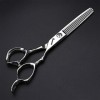 Professional 6.0 pouces Ciseaux de coupe de cheveux - coiffure Dilution Cisailles salon de coiffure Salon haut de gamme toile