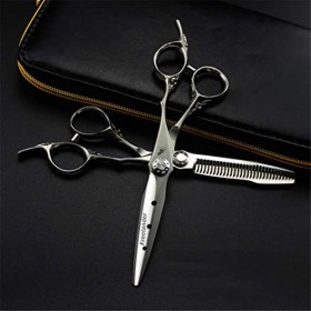 Professional 6.0 Pouces Matt Silver Ciseaux de Coiffure + Diluant Dents Set Ciseaux pour Couper Les Cheveux Haut de Gamme Sal