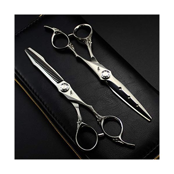 Professional 6.0 Pouces Matt Silver Ciseaux de Coiffure + Diluant Dents Set Ciseaux pour Couper Les Cheveux Haut de Gamme Sal