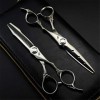 Professional 6.0 Pouces Matt Silver Ciseaux de Coiffure + Diluant Dents Set Ciseaux pour Couper Les Cheveux Haut de Gamme Sal