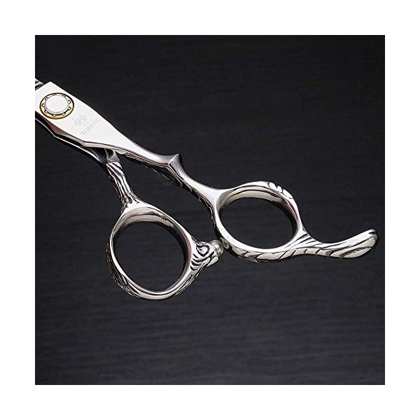 Ciseaux de coupe de cheveux, cisailles à cheveux professionnellesCiseaux de coiffure à dents fines en acier inoxydable de 6 p