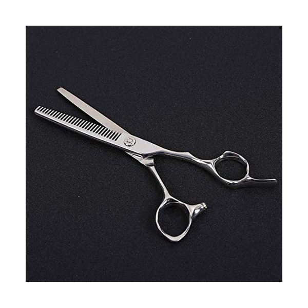 JMOMC Ciseaux de Coiffeur Professionnels Portables pour Salon de Coiffure/Maison 15,2 cm en Acier Inoxydable Ciseaux Aminciss