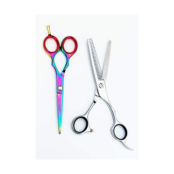 Ciseaux de coiffure allemands professionnels - Kit de Beautytools Silver ShortBeast - 5.5"