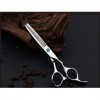 Ciseaux de coiffeur Ensemble de ciseaux de coupe de cheveux Ciseaux de coiffure professionnels de 6 pouces Ciseaux de coupe e