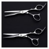 Cisailles pour la coupe de cheveux 6 pouces ciseaux de coiffure, ciseaux de coiffure, ciseaux de coiffure amincissants, cisea