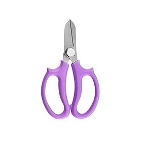 Ciseaux artisanaux Ciseaux à fleurs Ciseaux de taille de jardin de cuisine en acier inoxydable Ciseaux à arbres Ciseaux de ja