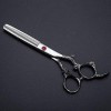 Ciseaux de coiffeur professionnel en acier 6 pouces argent Dragon coupe cheveux ciseaux coupe de cheveux amincissement coiffe