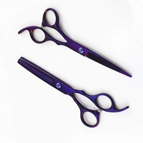 Ensemble de Ciseaux de Coupe de Cheveux Professionnels pour la Coupe et lamincissement de la Coiffure 6 Pouces