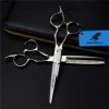 Kit de ciseaux de coupe de cheveux professionnels de 6,0 pouces - Ensemble de ciseaux de coiffure avec ciseaux de coupe, cise