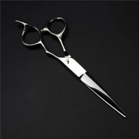 Kit de ciseaux de coupe de cheveux professionnels de 6,0 pouces - Ensemble de ciseaux de coiffure avec ciseaux de coupe, cise