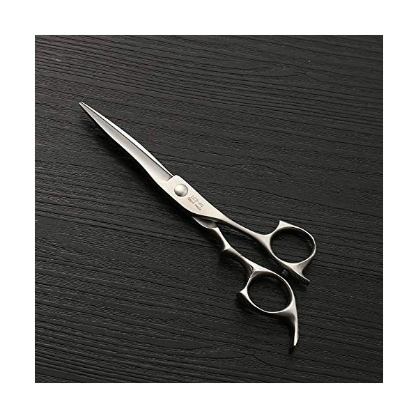 Outils de coupe des cheveux Ciseaux de coiffure en acier inoxydable de 6 pouces, ciseaux de ciseaux plats de coupe de cheveux