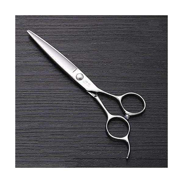 Outils de coupe des cheveux Ciseaux de coiffure en acier inoxydable 440C de 6 pouces, ciseaux de coiffure de mode haut de gam