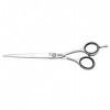 Jaguar White Line 4030363124163 JP 10 Ciseaux de coiffeur Argenté 17,8 cm