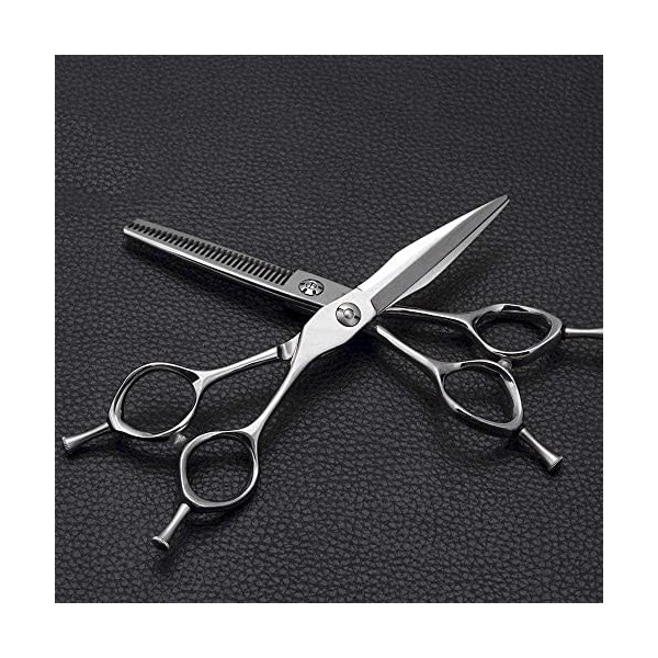 Ciseaux de coiffeur Ciseaux de coiffure professionnels de 6 pouces Ciseaux de coupe de cheveux + Ensemble de cisaillement pla