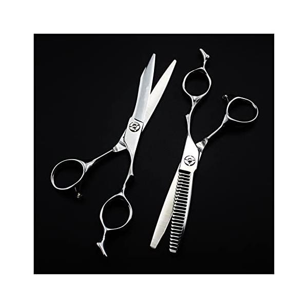 Ciseaux de coiffure argentés de 6 pouces, coupe de cheveux et ciseaux de coiffeur amincissants, ciseaux de coiffeur ensemble