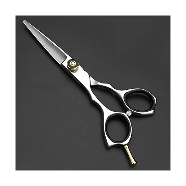 Ciseaux de coiffure Série pour gauchers Salon de coiffure professionnel Ciseaux de coiffeur Ciseaux de coupe pour coiffeur ga