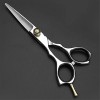 Ciseaux de coiffure Série pour gauchers Salon de coiffure professionnel Ciseaux de coiffeur Ciseaux de coupe pour coiffeur ga