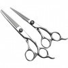 Ciseaux de barbier 6.0 pouces, ciseaux de coiffure professionnels, cisaille plate + ensemble de cisaille à dents, ciseaux à f