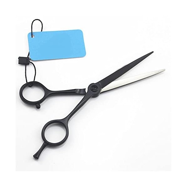 Ciseaux de coupe de cheveux professionnels noirs, outils de salon de coiffure droits couleur: coupe uniquement coupe ajout