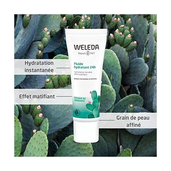 Weleda - Fluide Hydratant 24 h au Figuier de Barbarie - Peaux Normales à Mixtes - Tube 30 ml