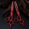 Ciseaux de coupe de cheveux, ciseaux professionnels en acier 440c de 6 pouces, ciseaux à cheveux rouges, coupe de cheveux ami