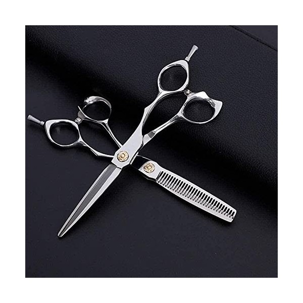 Ciseaux de coiffeur 6 pouces coiffeur professionnel coupe de cheveux plat + ensemble de ciseaux à dents poignée oblique class