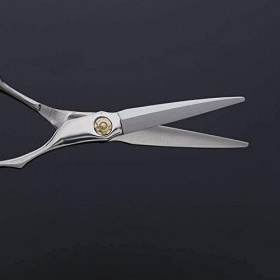 Ciseaux de coiffeur 6 pouces coiffeur professionnel coupe de cheveux plat + ensemble de ciseaux à dents poignée oblique class...