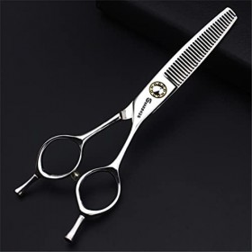 KOAIEZ Ensembles de Ciseaux de Coupe de Cheveux de 6,0 Pouces Argent , cisaillements de Coiffure en Acier Inoxydable 440c, t