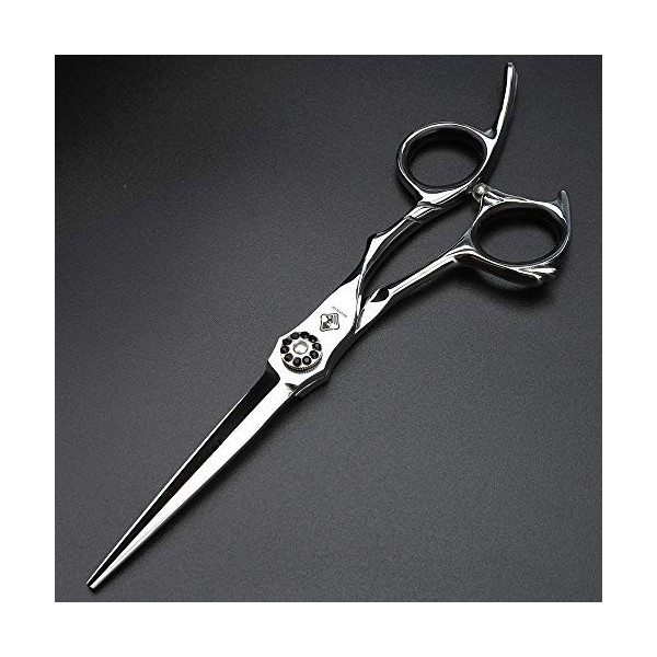 Kit de ciseaux professionnels, ciseaux à cheveux cisailles 6 pouces coiffeur coupe et amincissement coiffure professionnel co