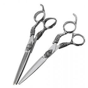 GaoF Ciseaux de Coiffure de 6 Pouces, Ciseaux de Coiffure spéciaux, Ciseaux Plats + Ciseaux à Dents, Costume doutils Authent