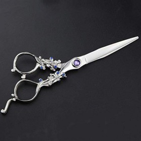 GaoF Ciseaux de Coiffure Haut de Gamme de 6 Pouces, Ensemble doutils de Ciseaux Plats de Coiffeur + Ciseaux à Dents, résista