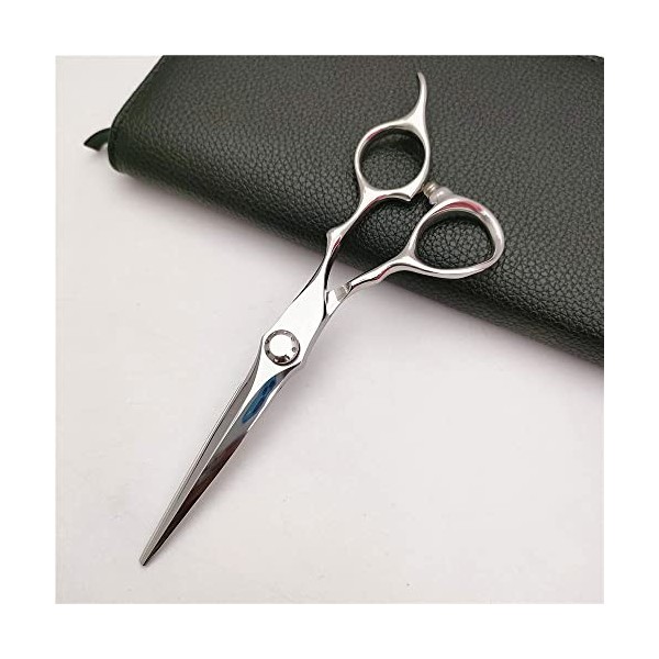 ciseaux de coiffeur Ciseaux De Coupe De Cheveux, 6.0 Pouces Japon 440c Professionnel Haut De Gamme Argent Ciseaux De Cheveux 