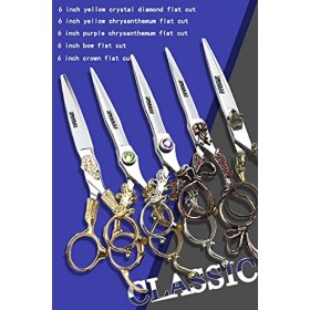 Ensemble de ciseaux de coiffure professionnels de 15,2 cm, ensemble spécial de coiffeur, ciseaux de coiffure en acier inoxyda